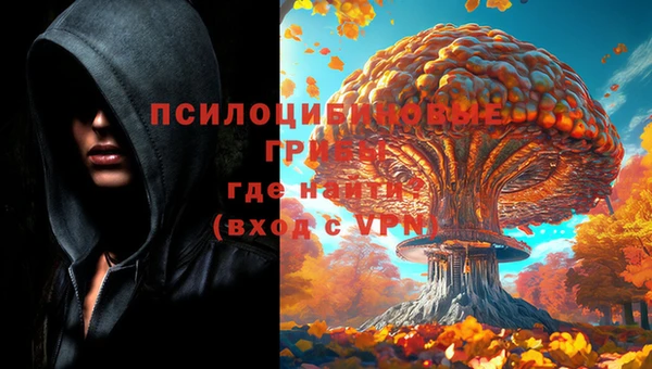 эйфоретик Верхний Тагил
